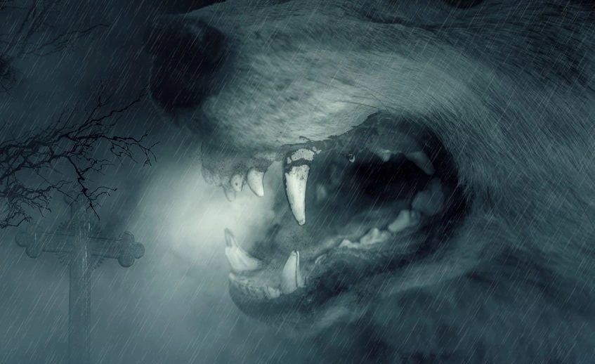 Werewolf Costume